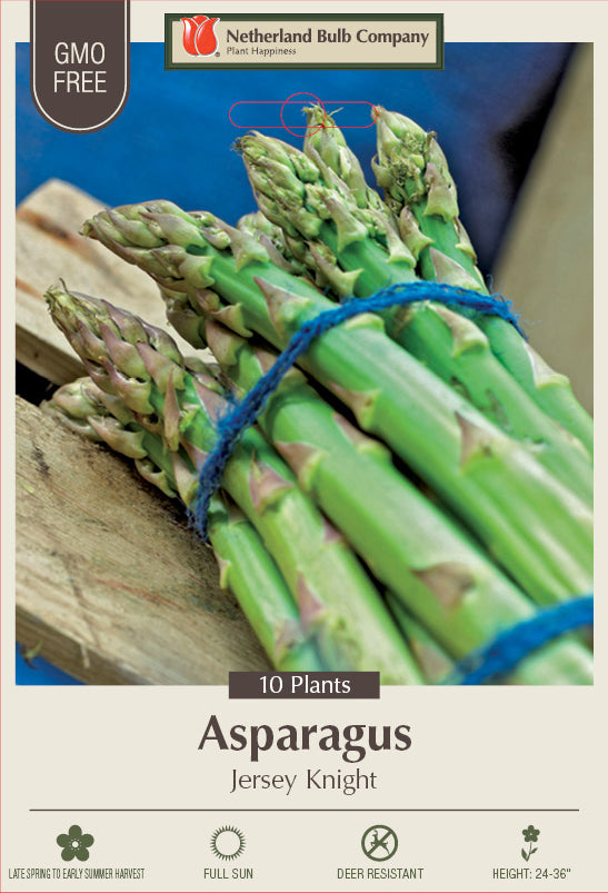 Netherland Bulb Company Asparagus officinalis  Jersey Knight  (10 Plants) Online Sale