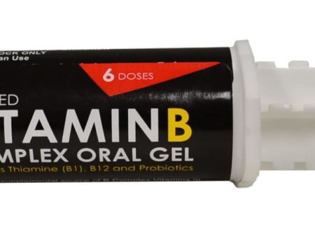 Durvet Vitamin B Complex Oral Gel Sale