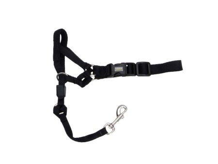 Walk  n Train! Dog Head Halter (XLG) For Cheap